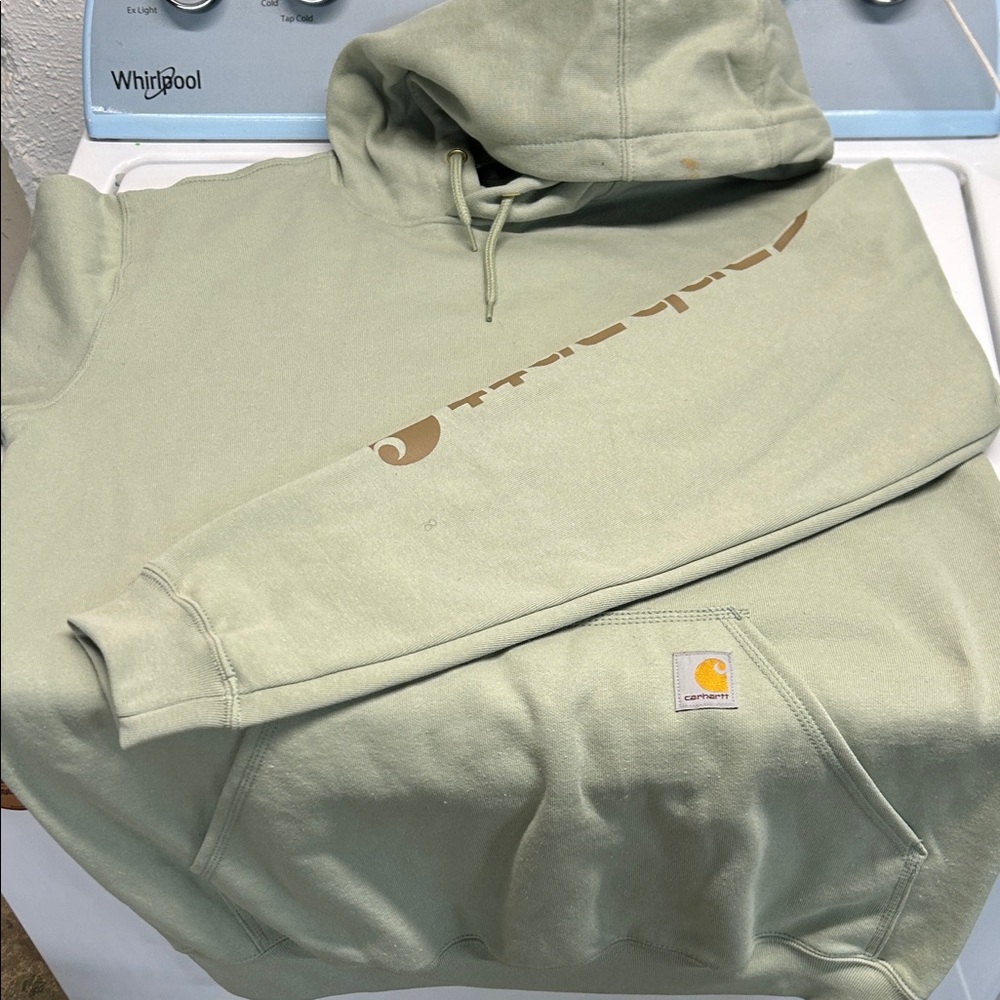 Carhartt Men's Light Green Hoodie with Logo Sleeve